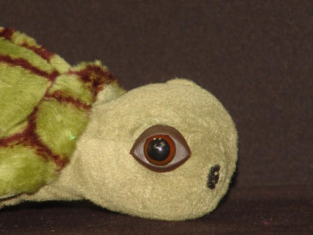 green shell plush