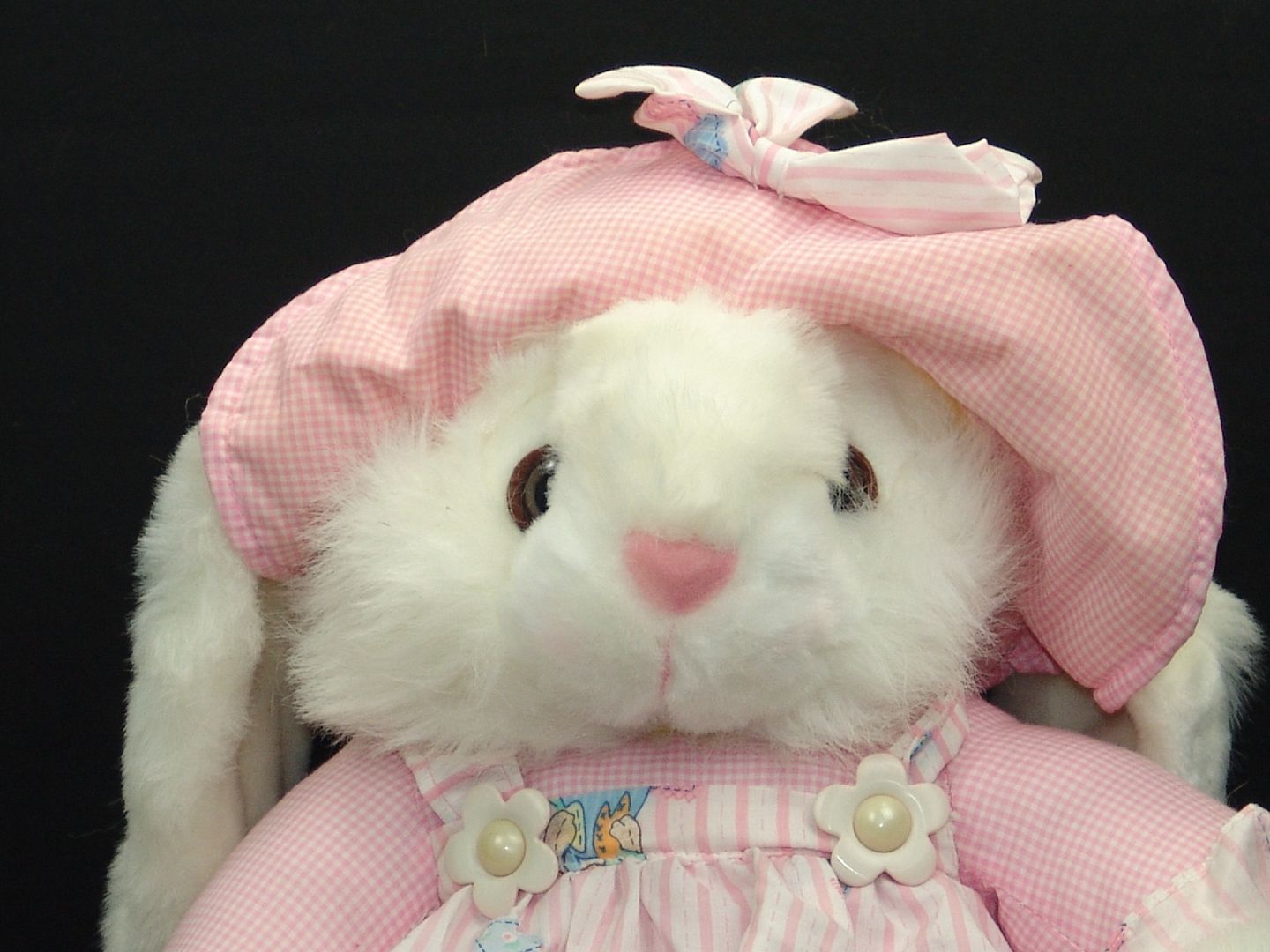 bunzo bunny plush