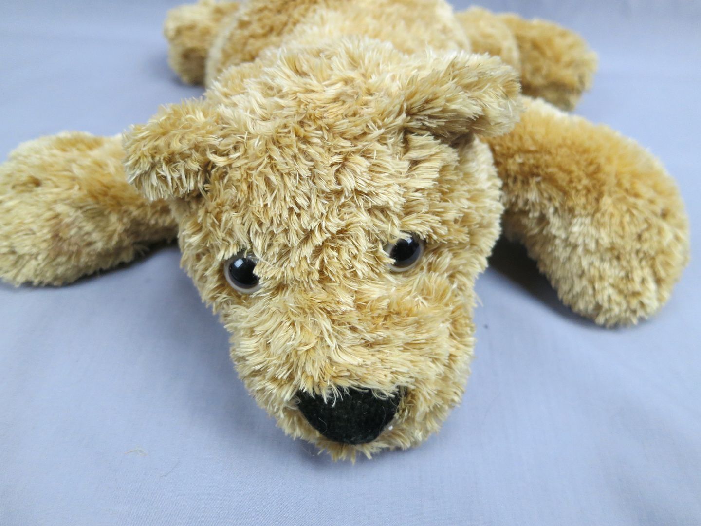 plush pals teddy bear