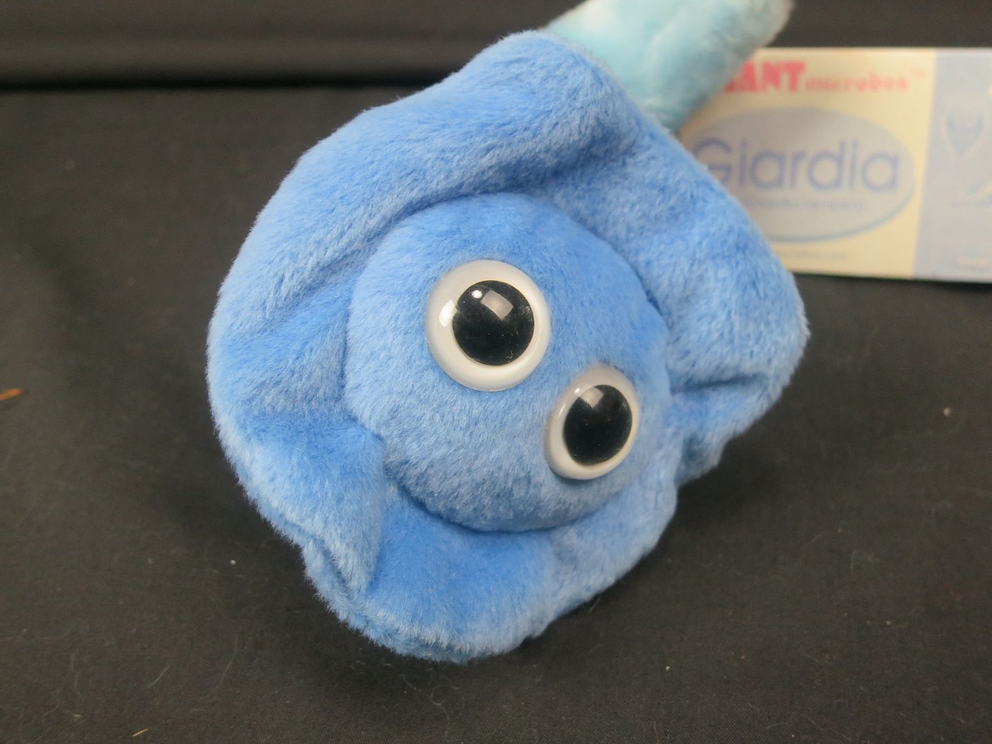 stuffed animal microbes