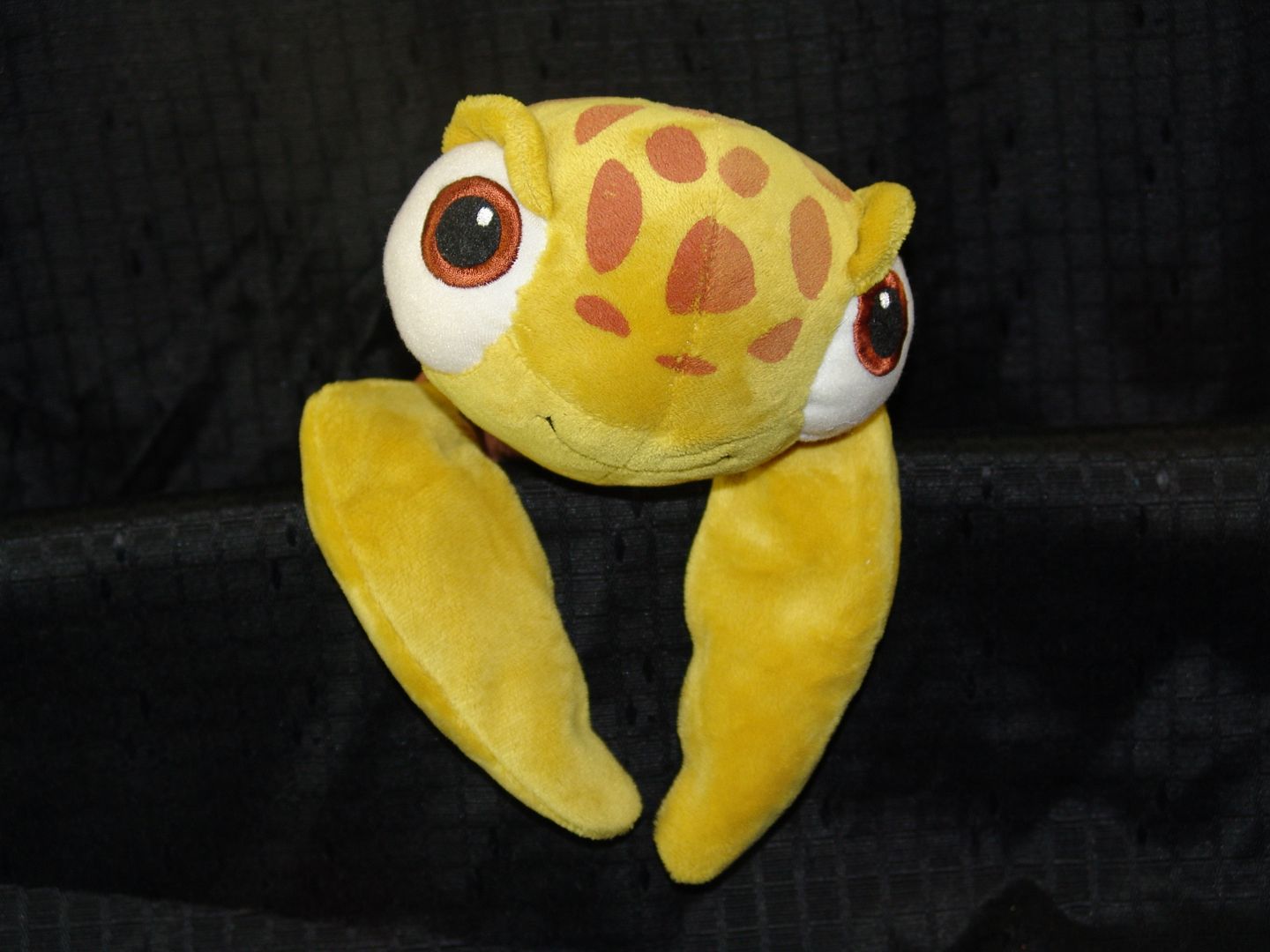 squirt turtle plush