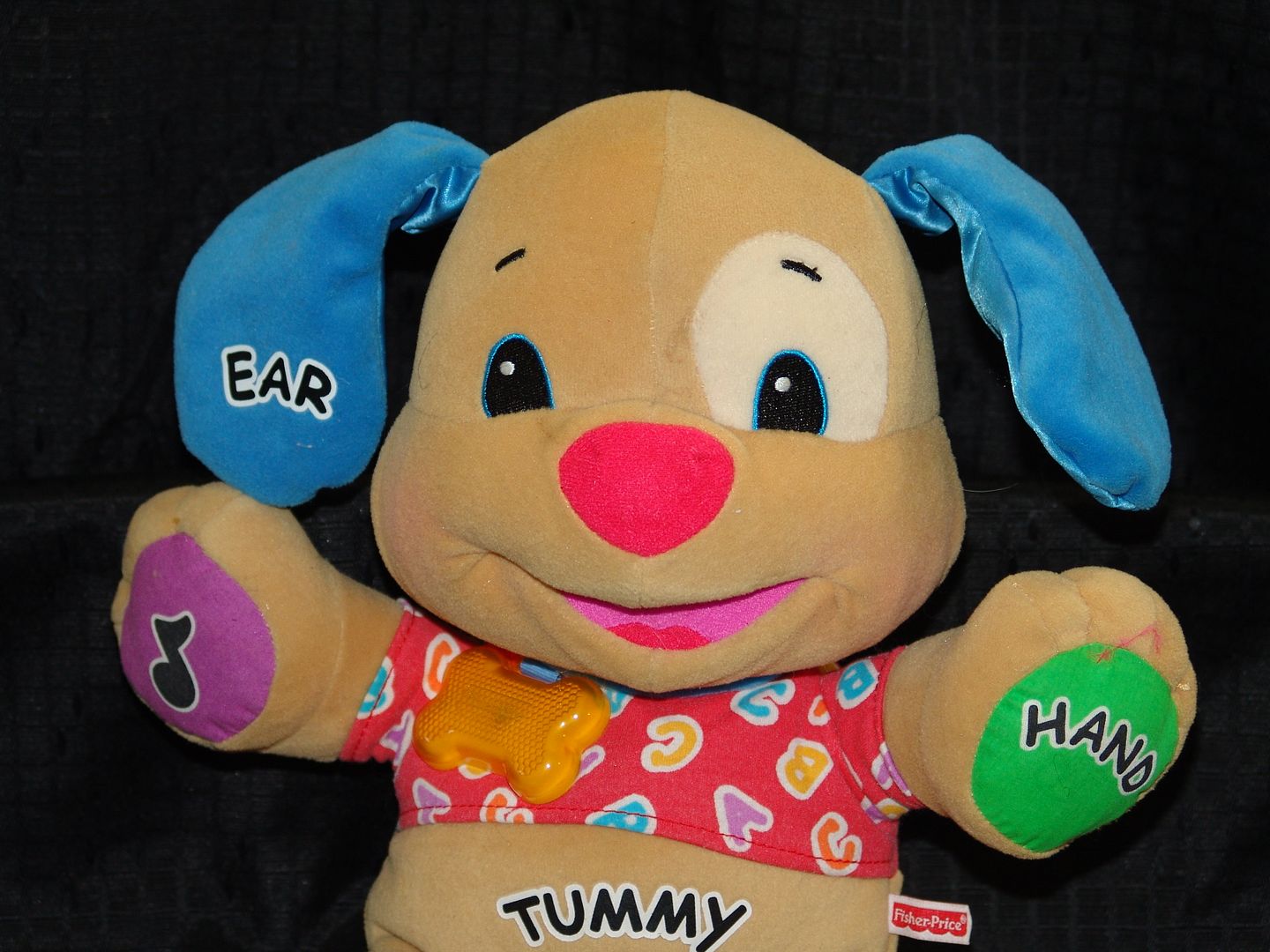 fisher price musical dog