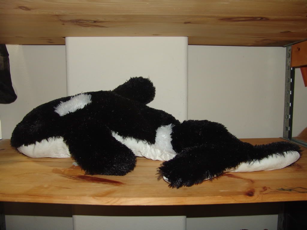 giant stuffed orca