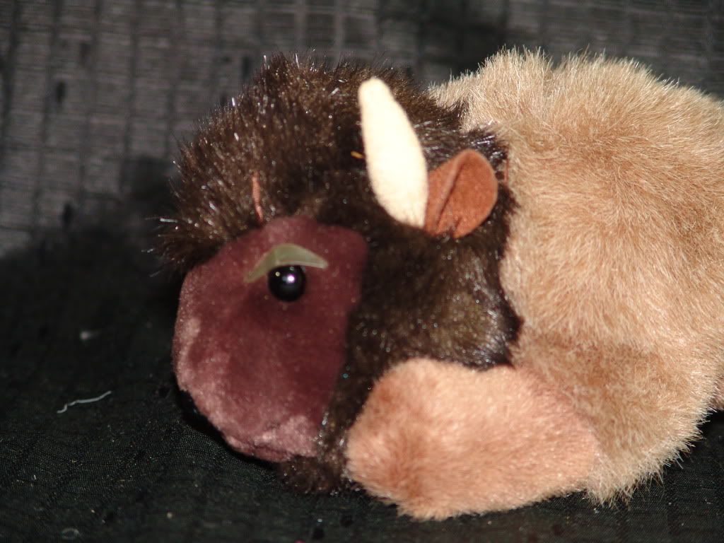 billy buffalo stuffed animal