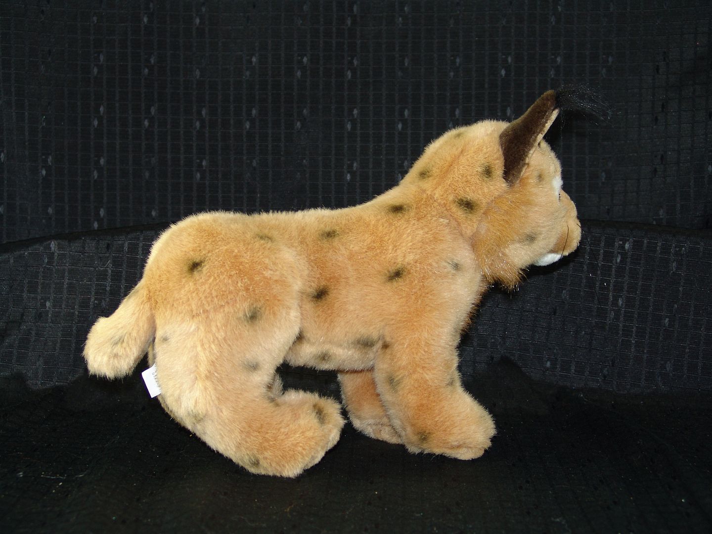 stuffed bobcat toy