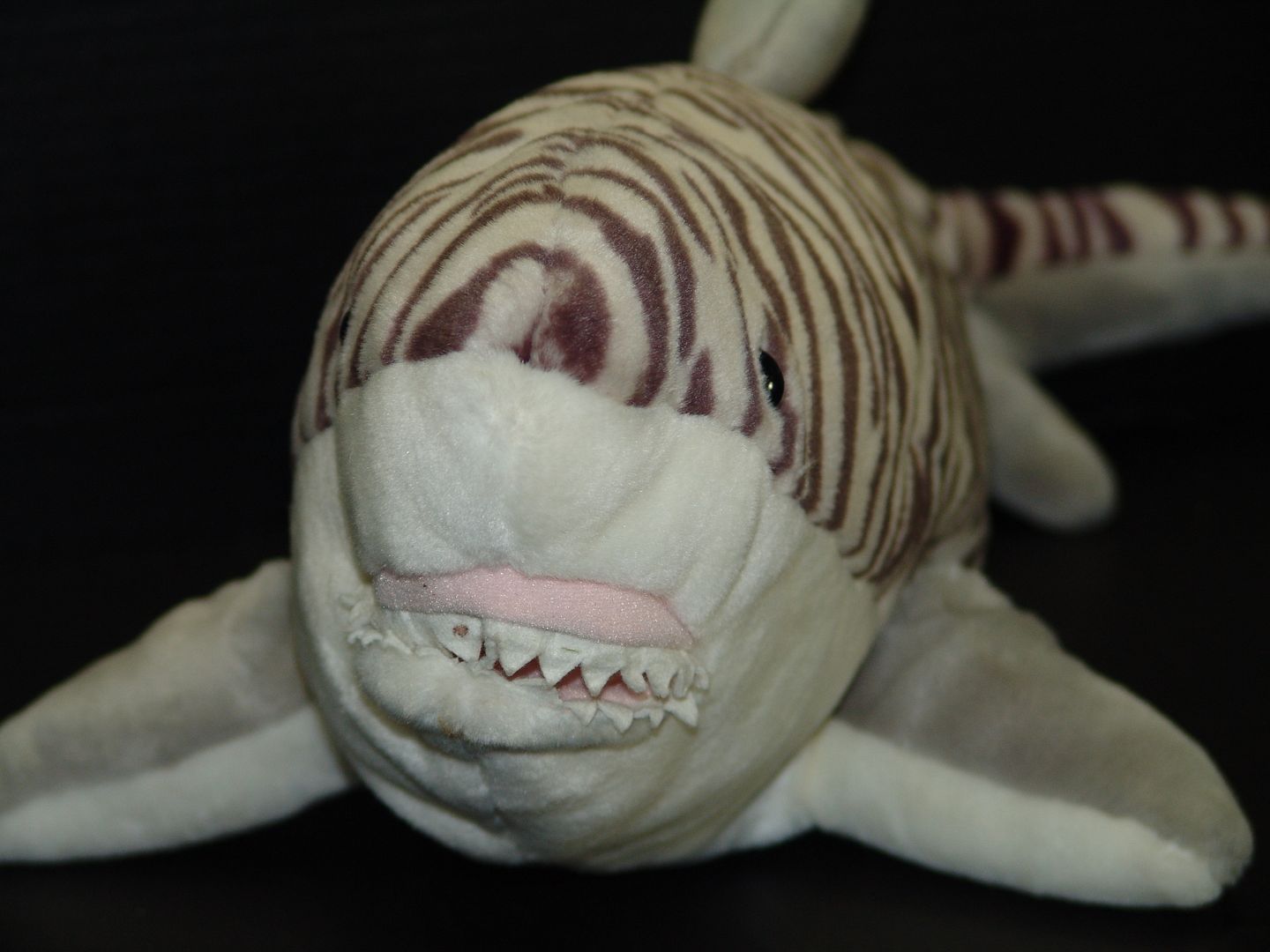 stuffed tiger shark