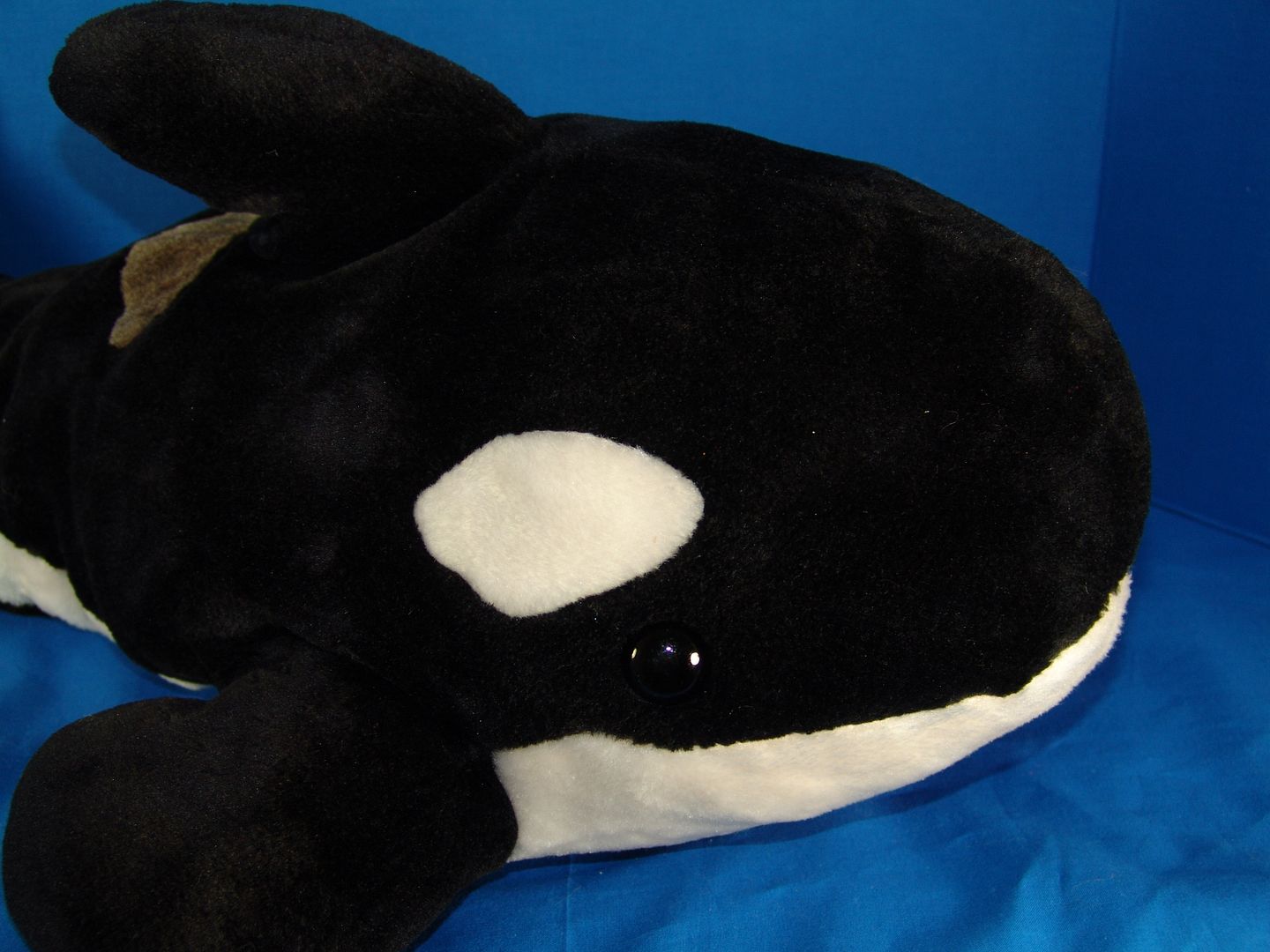 seaworld shamu plush