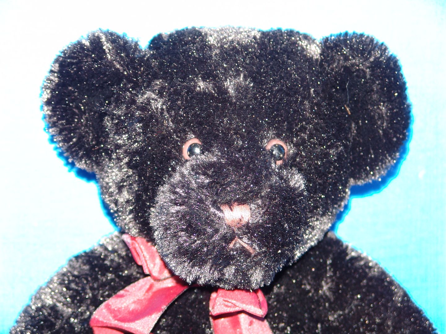 black bear soft toy