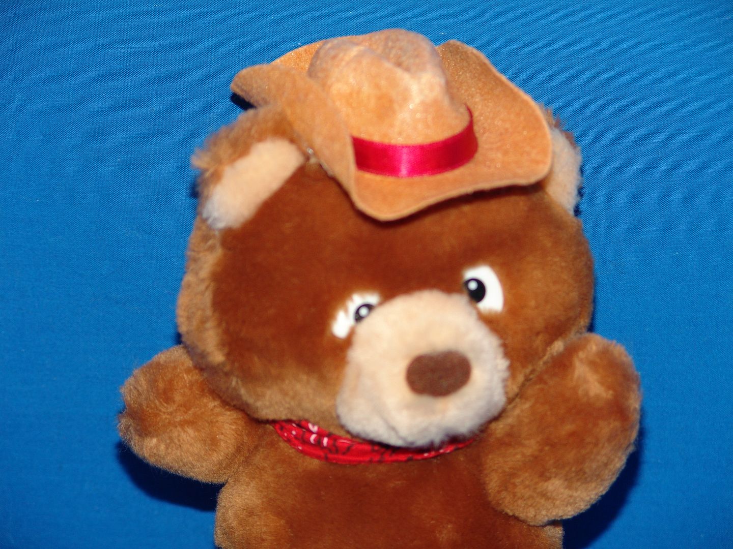 teddy bear cowboy hat