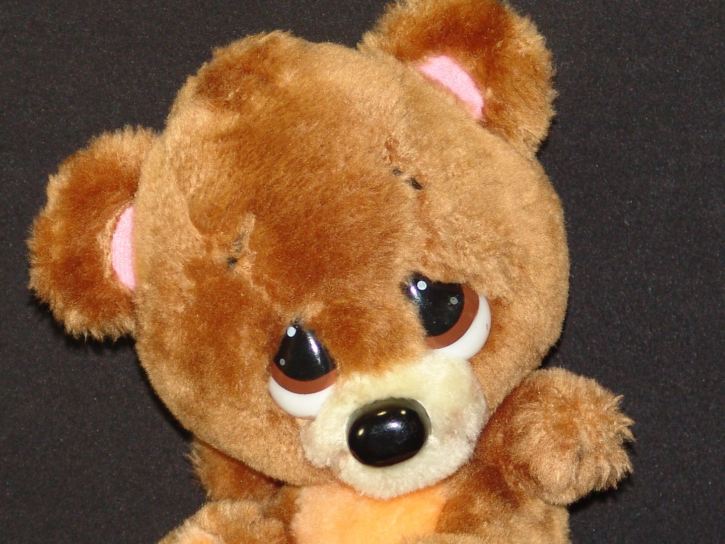 sad sam teddy bear