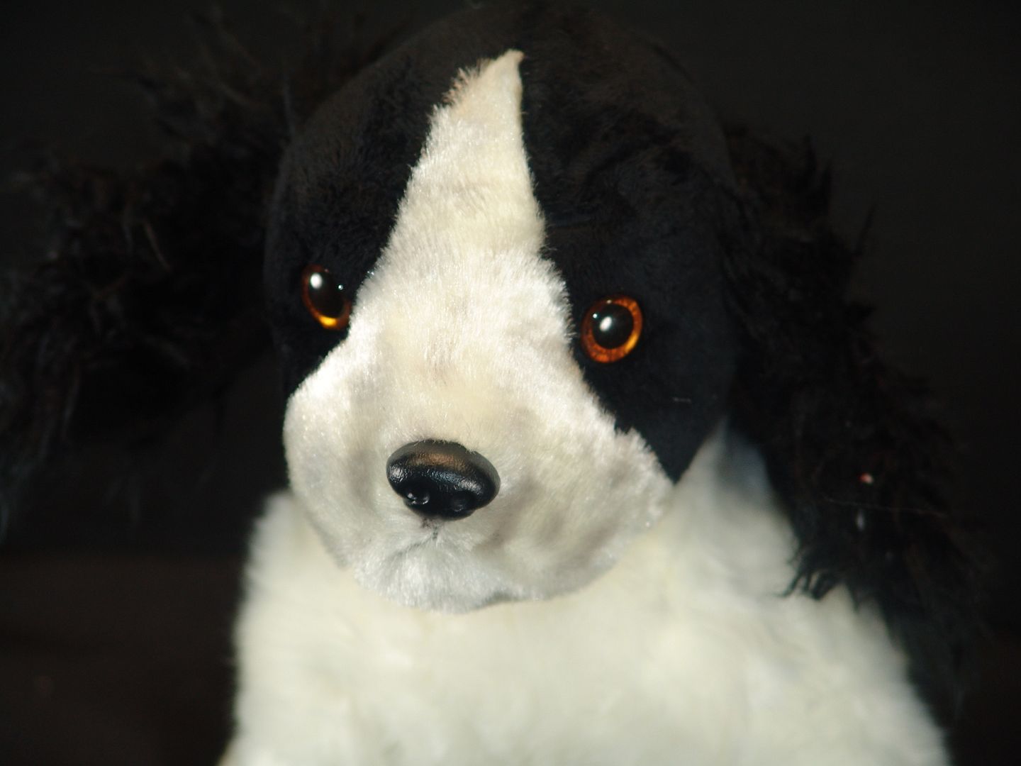 black and white springer spaniel stuffed animal