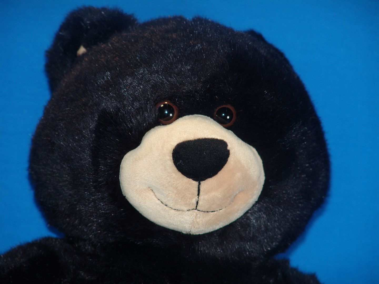 black stuffed teddy bear