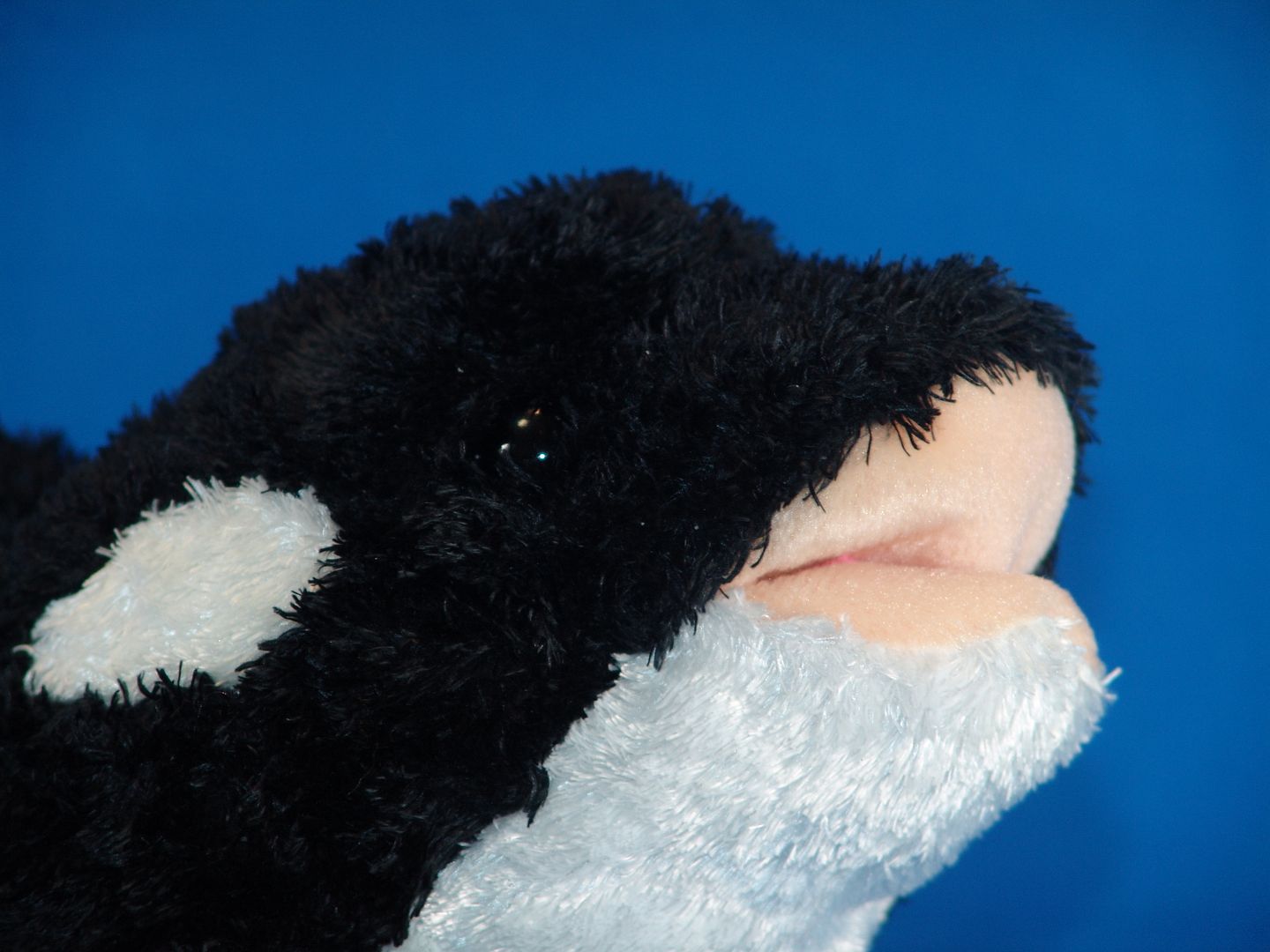 stuffed orca toy