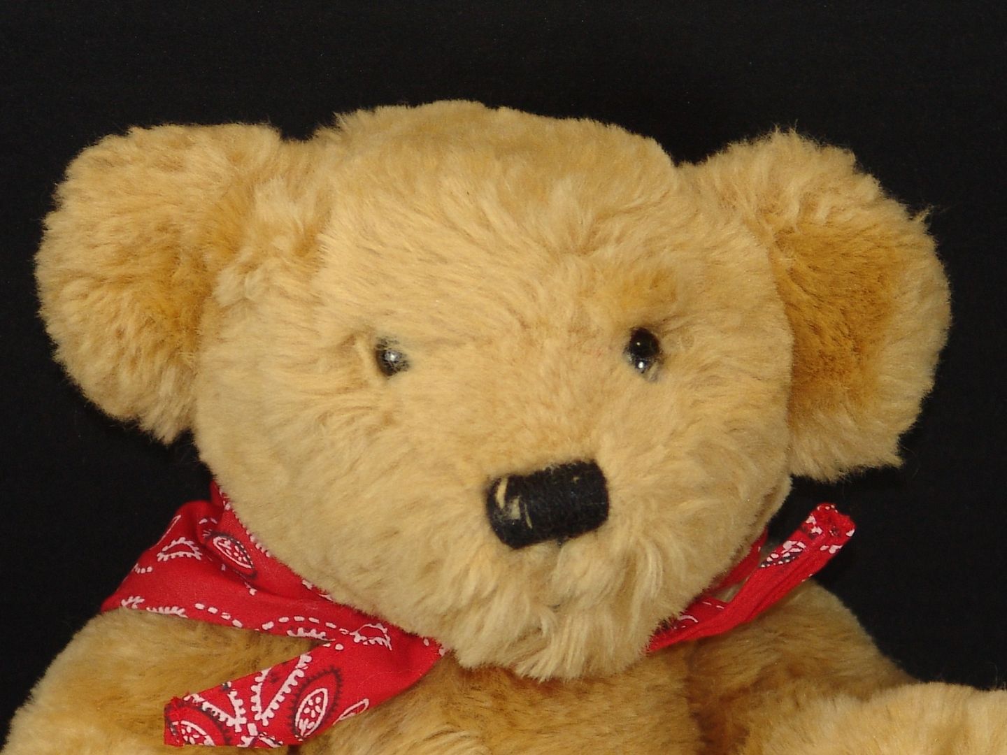 the manhattan toy company teddy bear