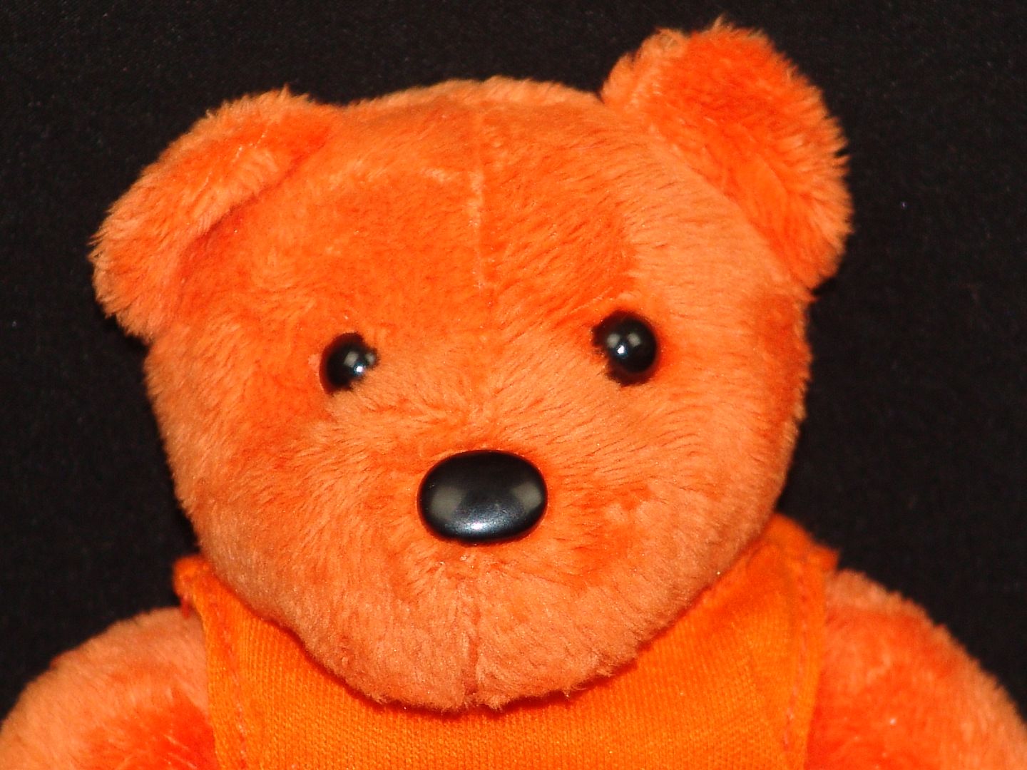 orange teddy bear throw