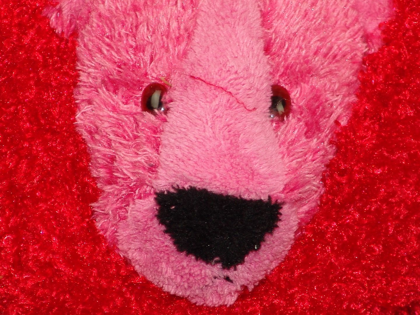 vibrating stuffed animal