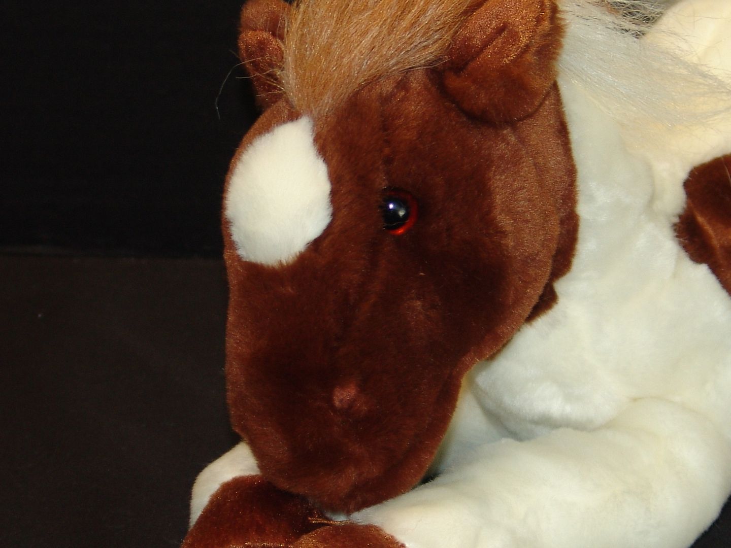 appaloosa plush