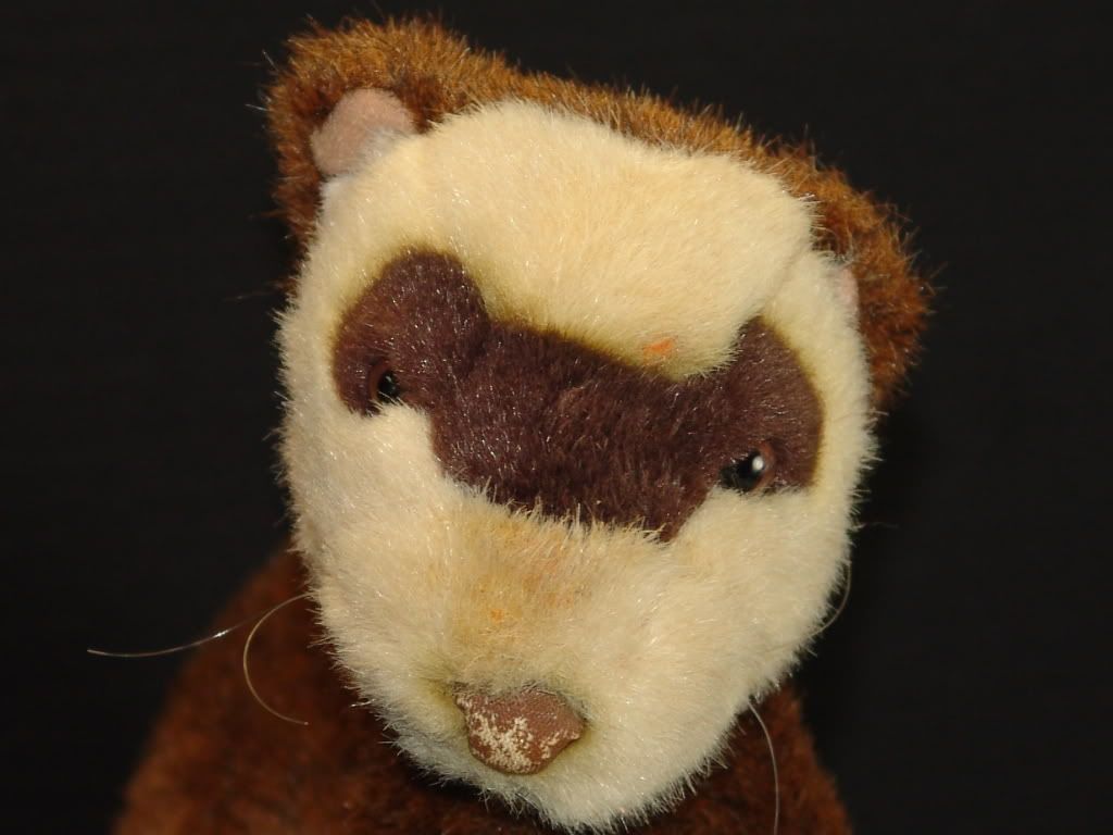 stuffed ferret