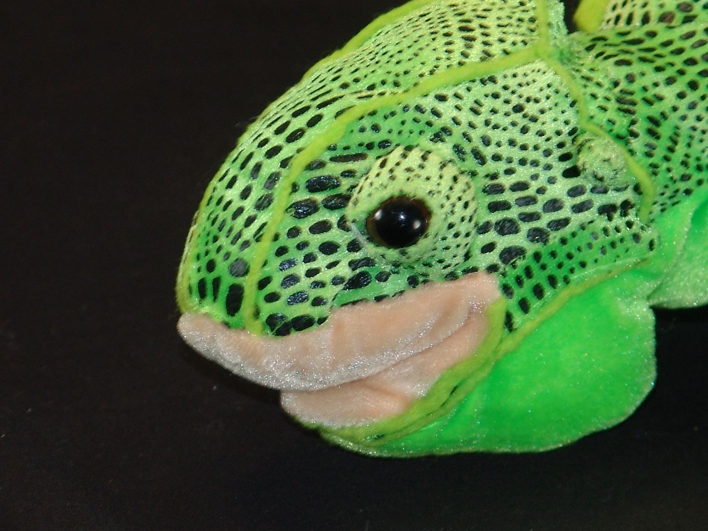 plush lizard toy