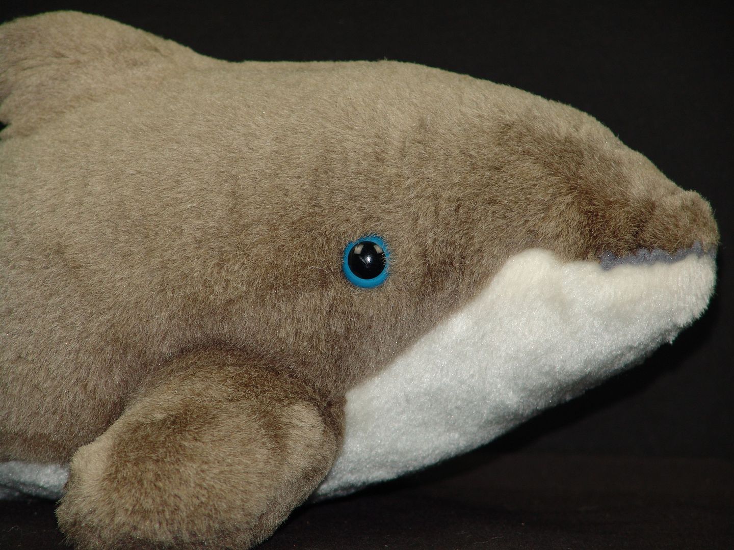 seaworld dolphin plush