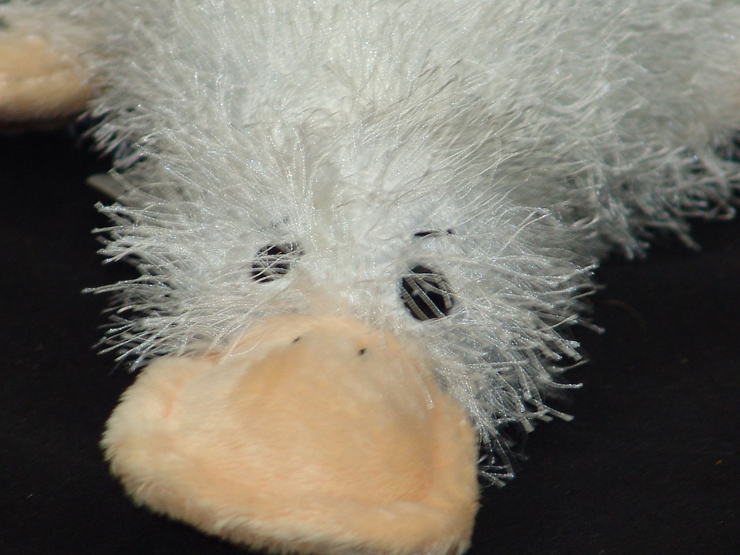 WEBKINZ PLUSH ONLY NO SECRET CODE GOOGLES WHITE PLATYPUS DUCK FREE
