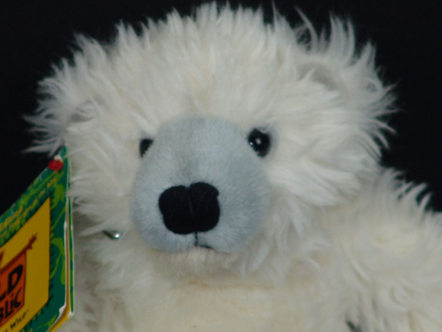 american eskimo plush