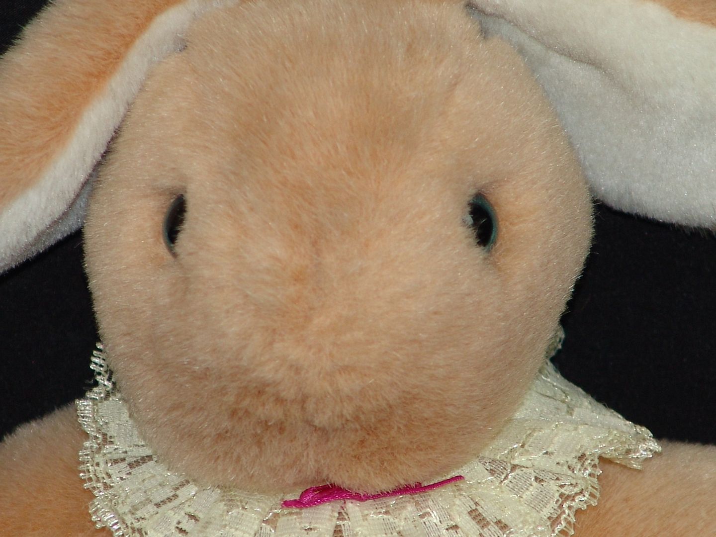 gund stuffed easter bunny