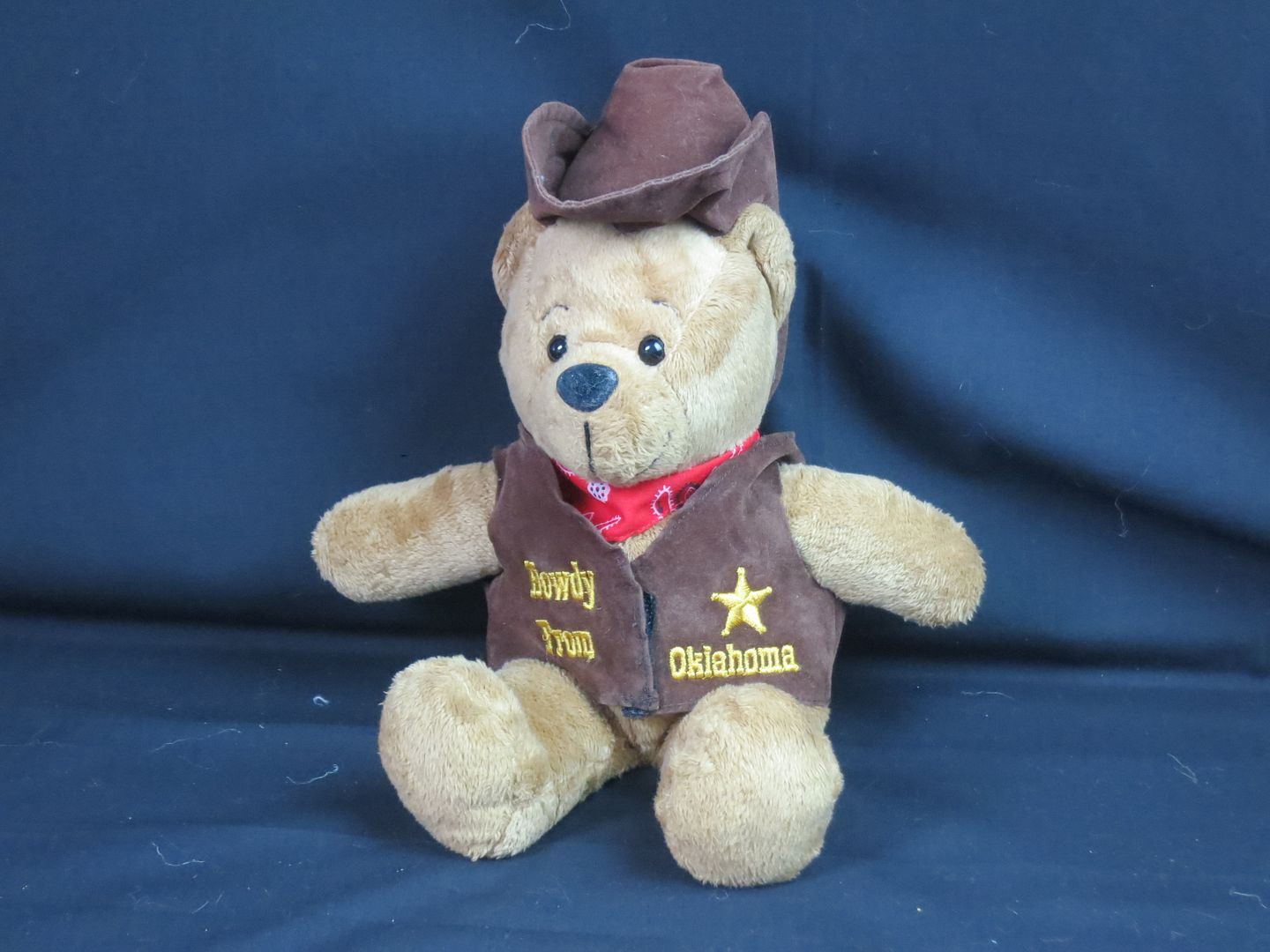 teddy bear cowboy hat