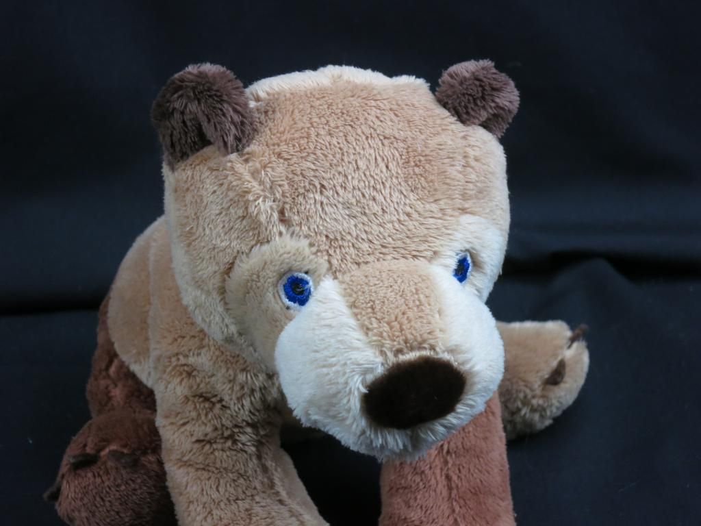 eric carle brown bear plush