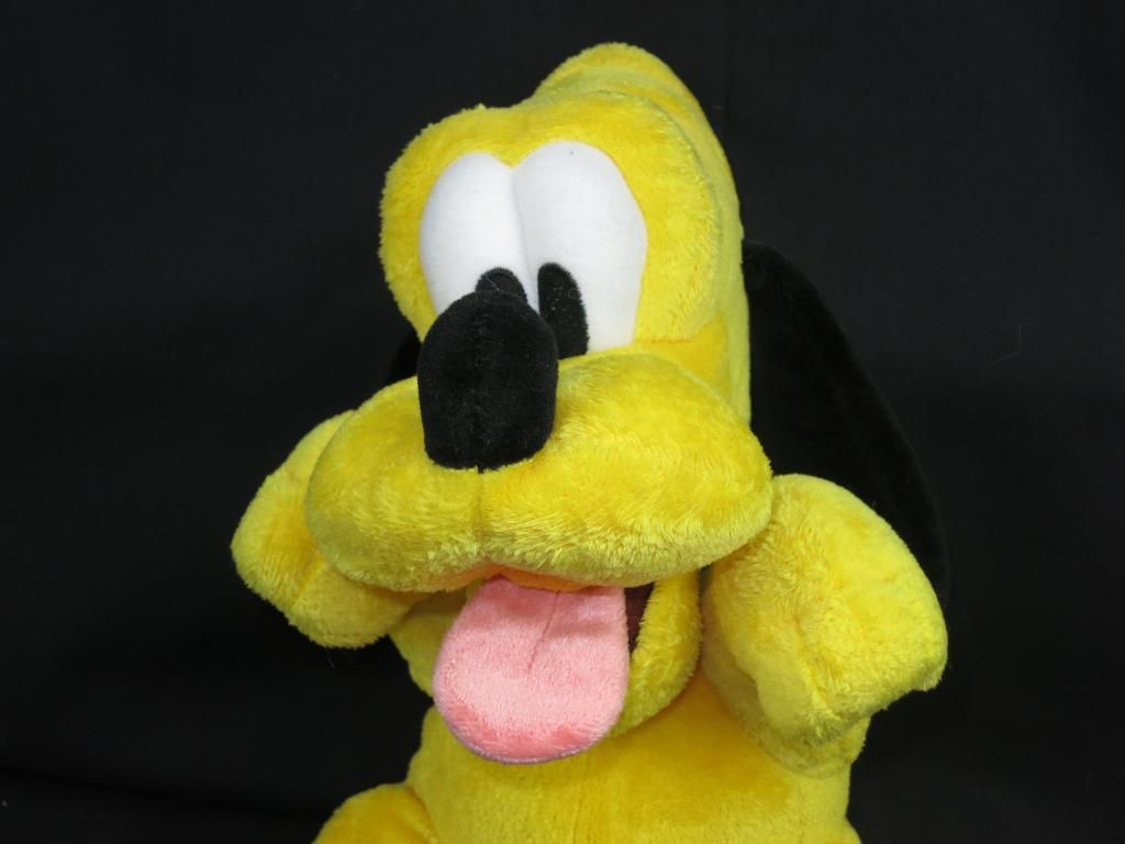 pluto teddy