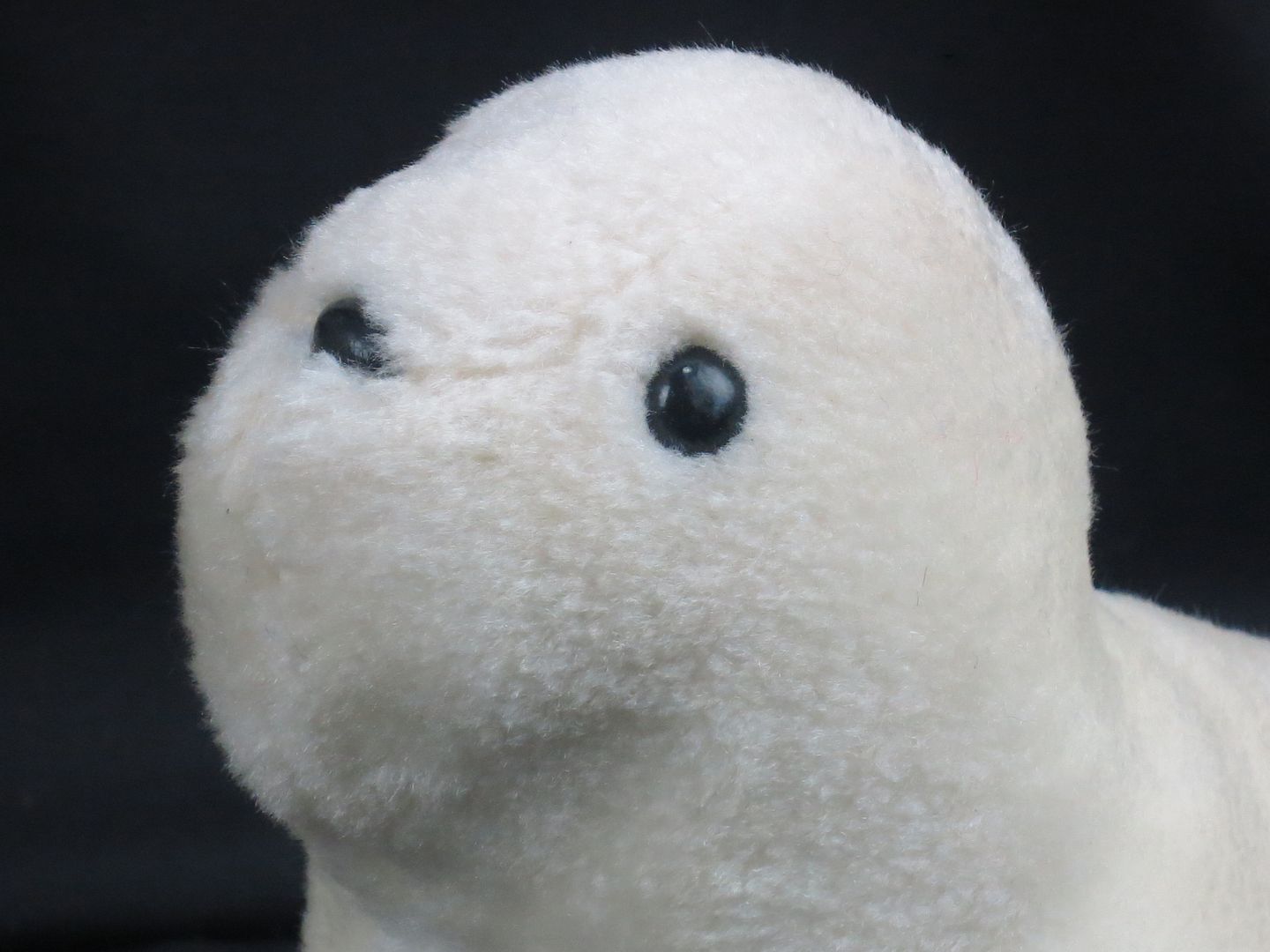 white seal plush toy