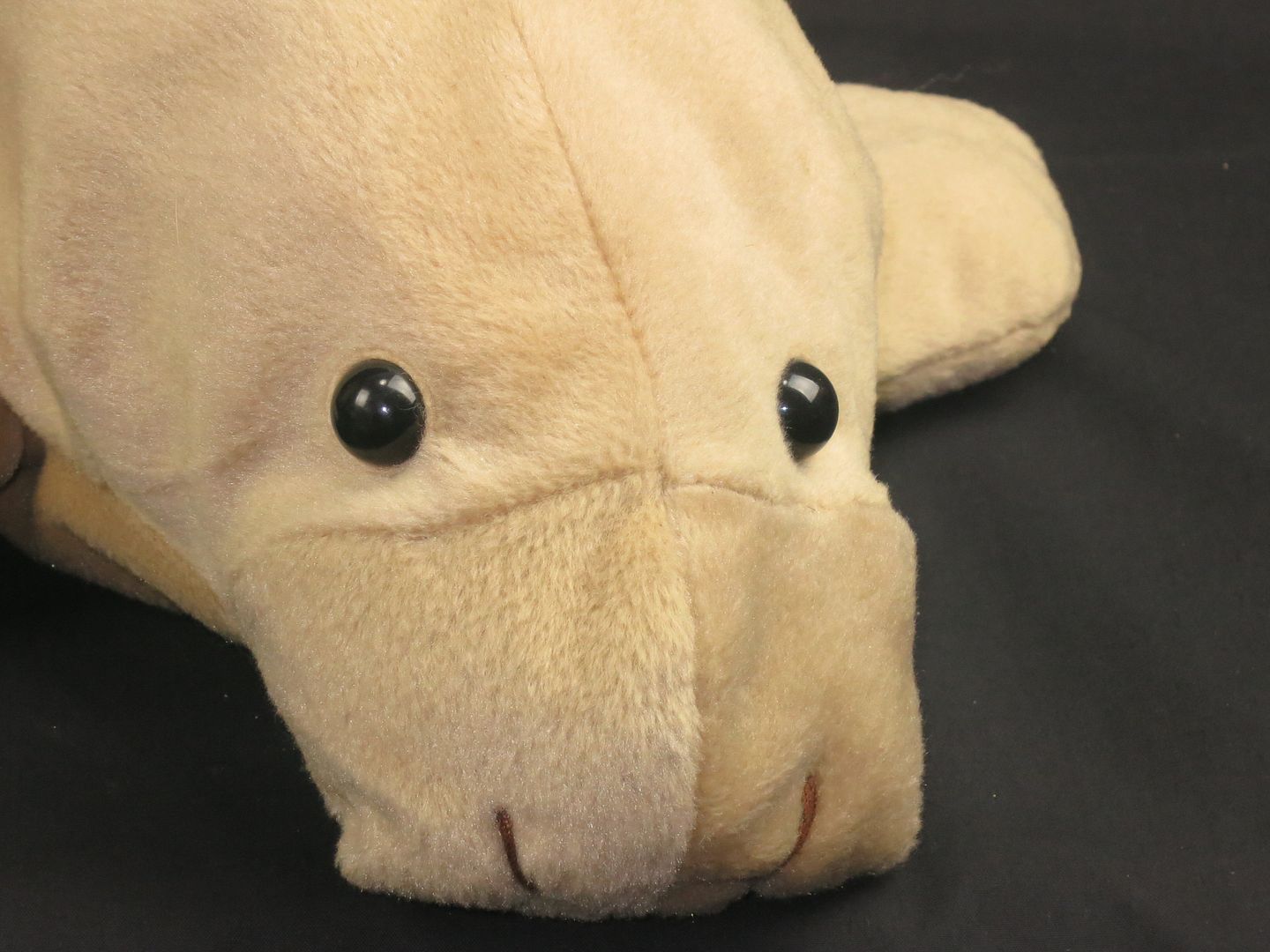 stuffed manatee