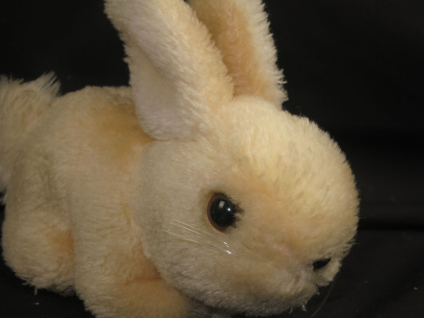 dakin stuffed bunny