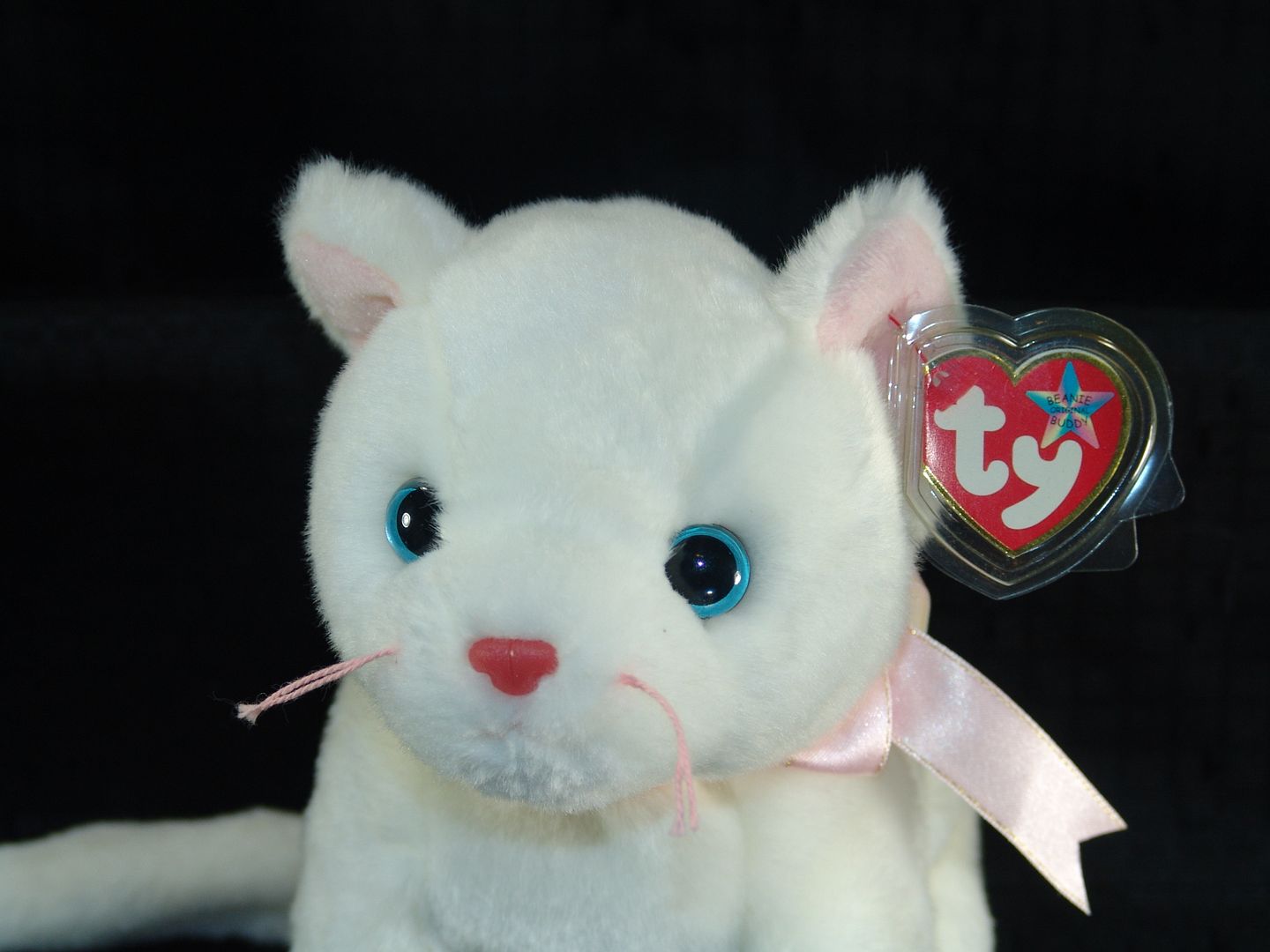 ty beanie buddies cat