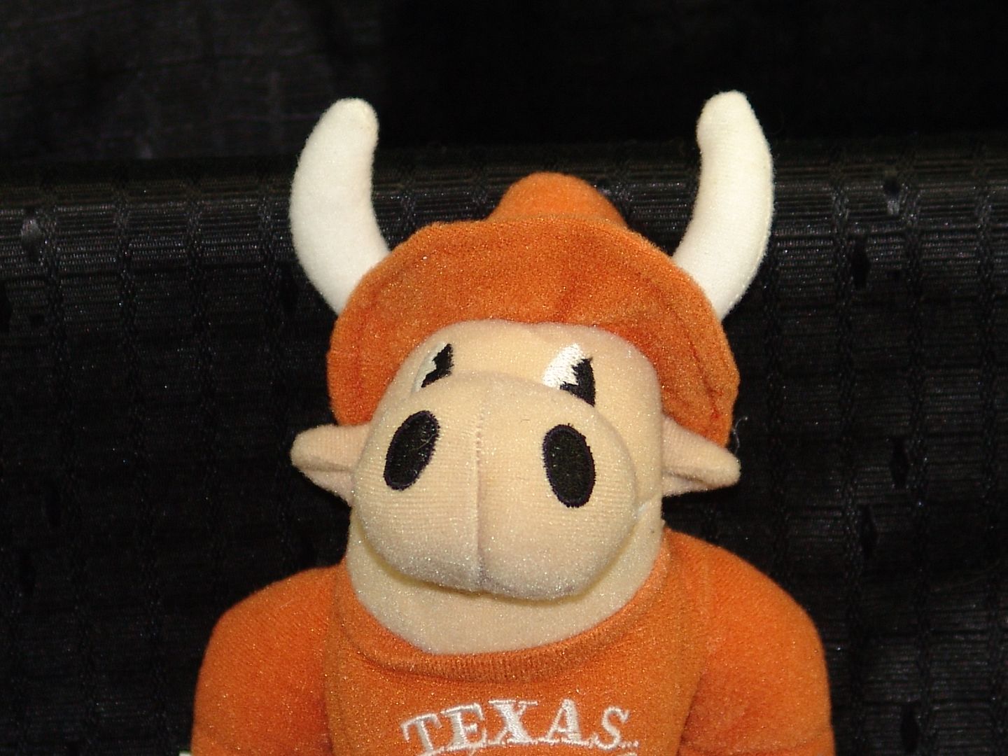 bevo plush