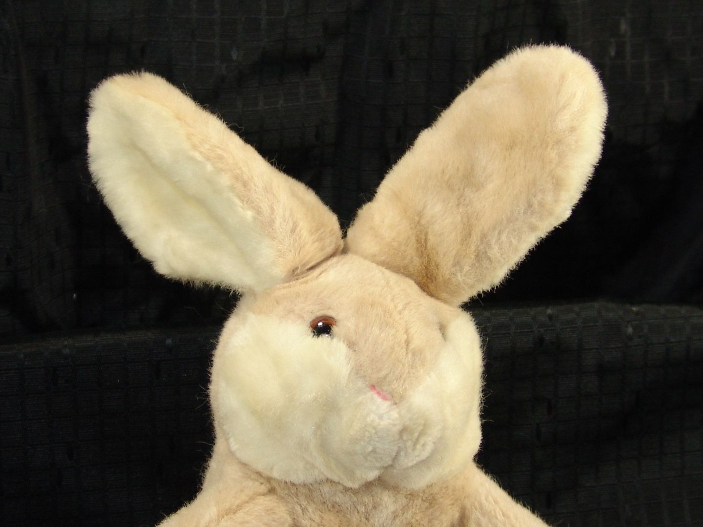 gund stuffed easter bunny