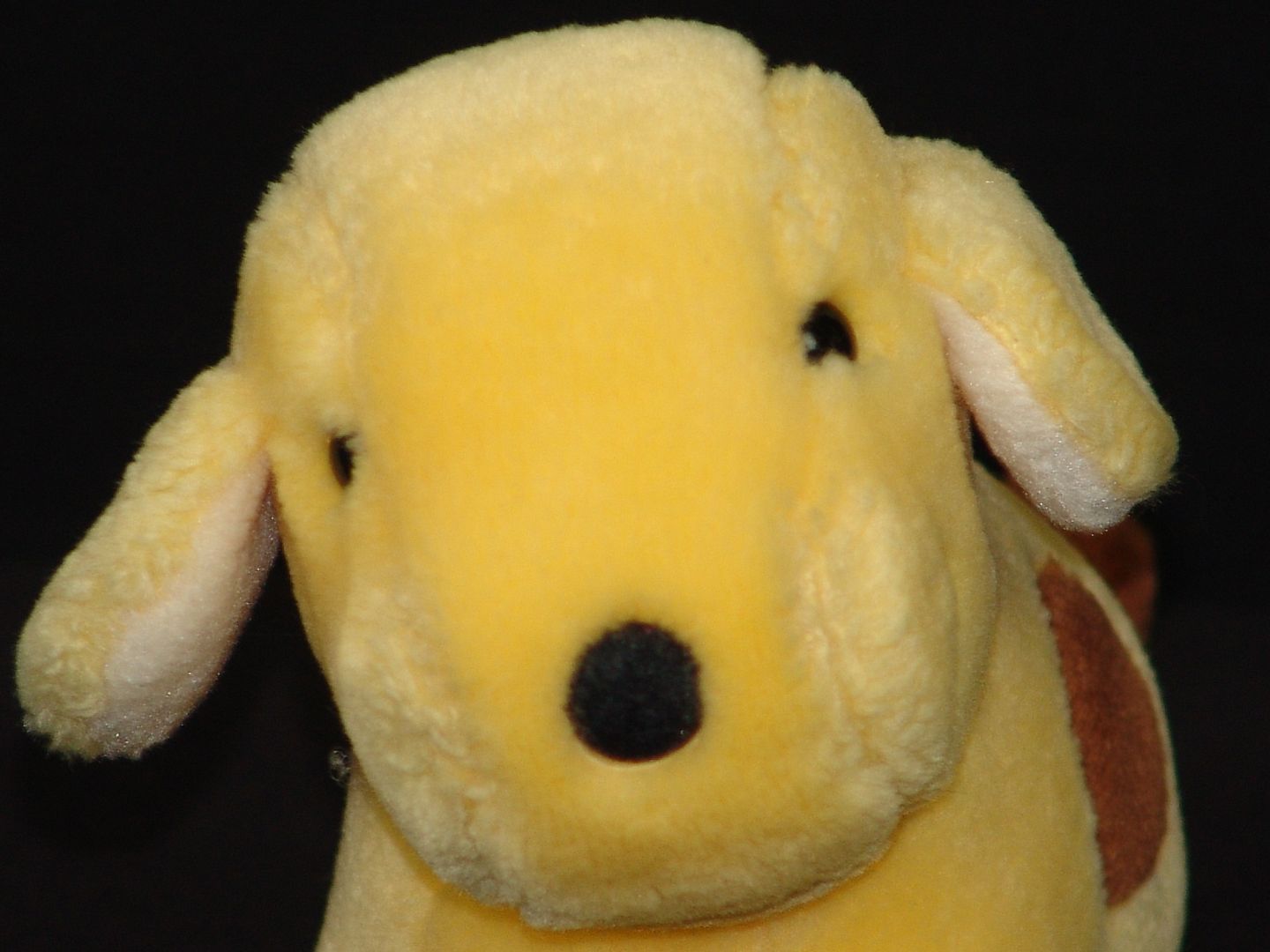 arthur stuffed animal