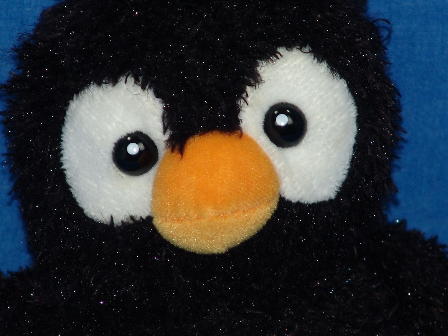 aurora penguin stuffed animal