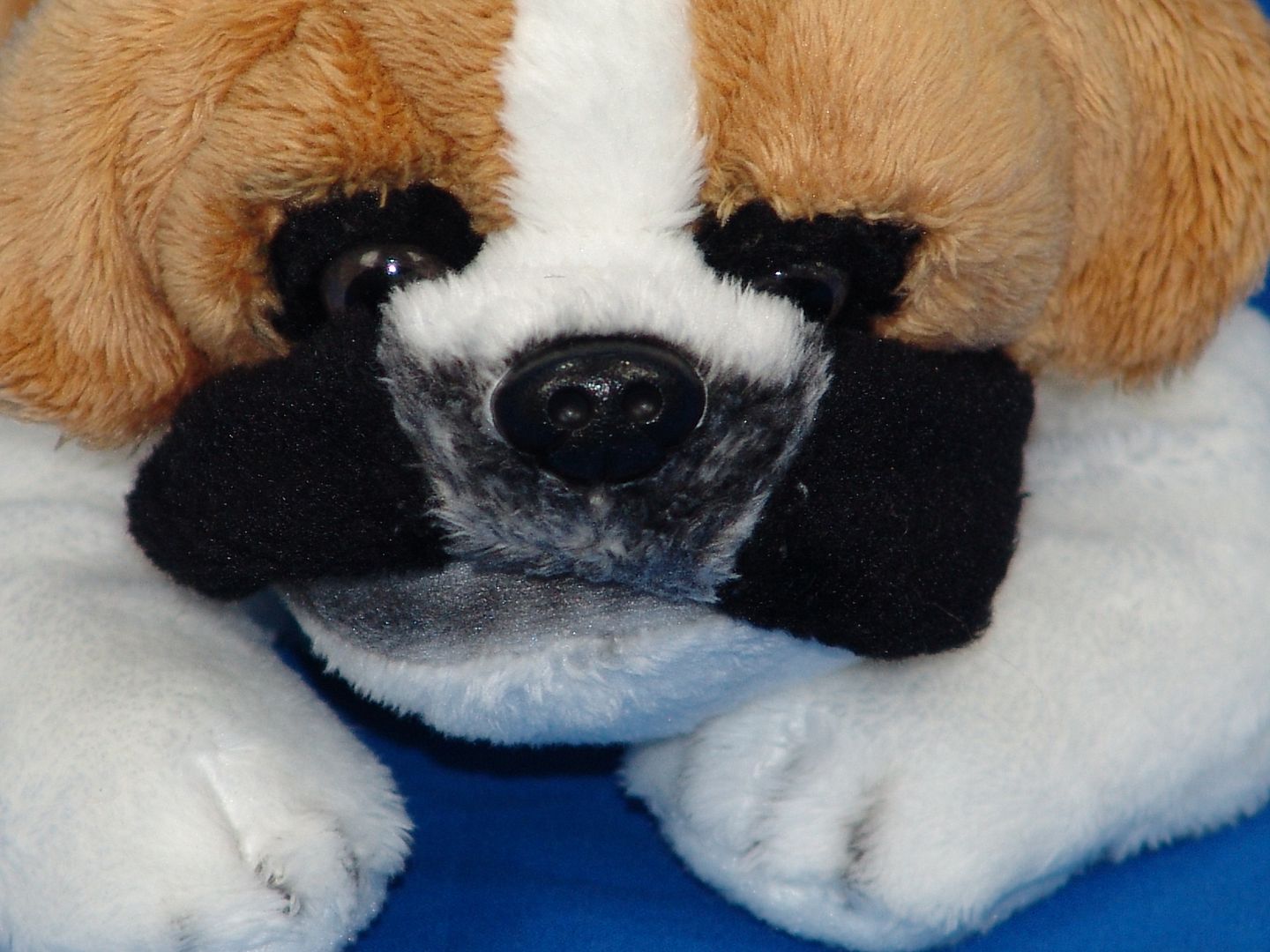 black and white stuffed dog toy