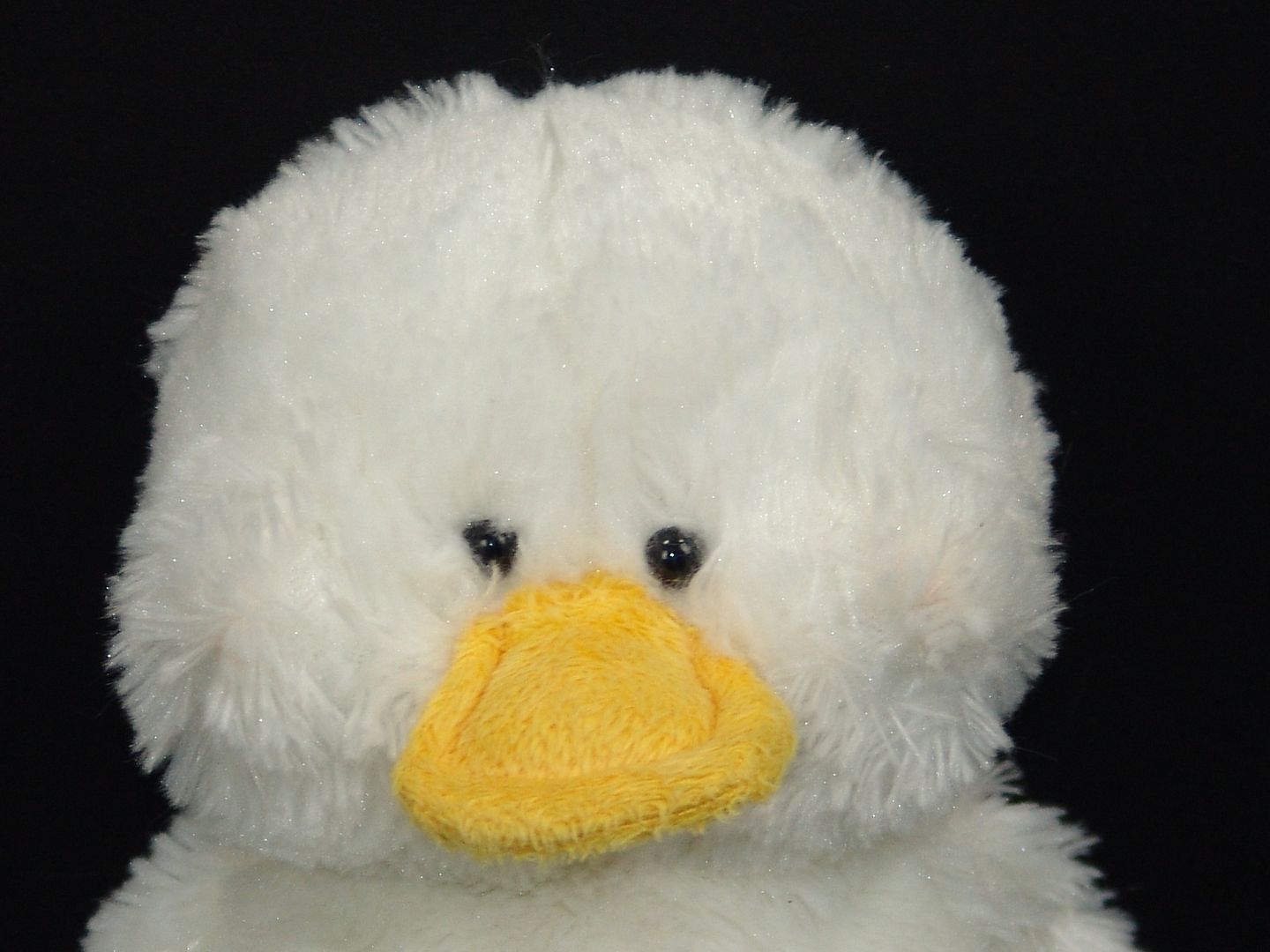 webkinz white duck