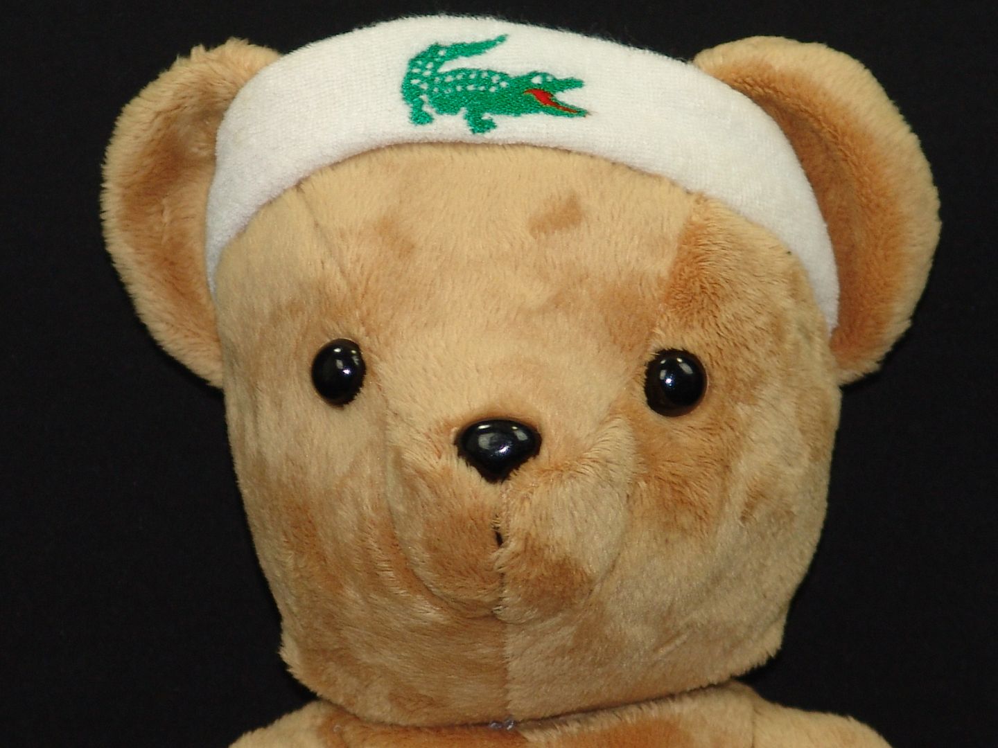 lacoste teddy bear