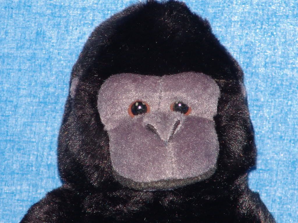 velcro stuffed monkey