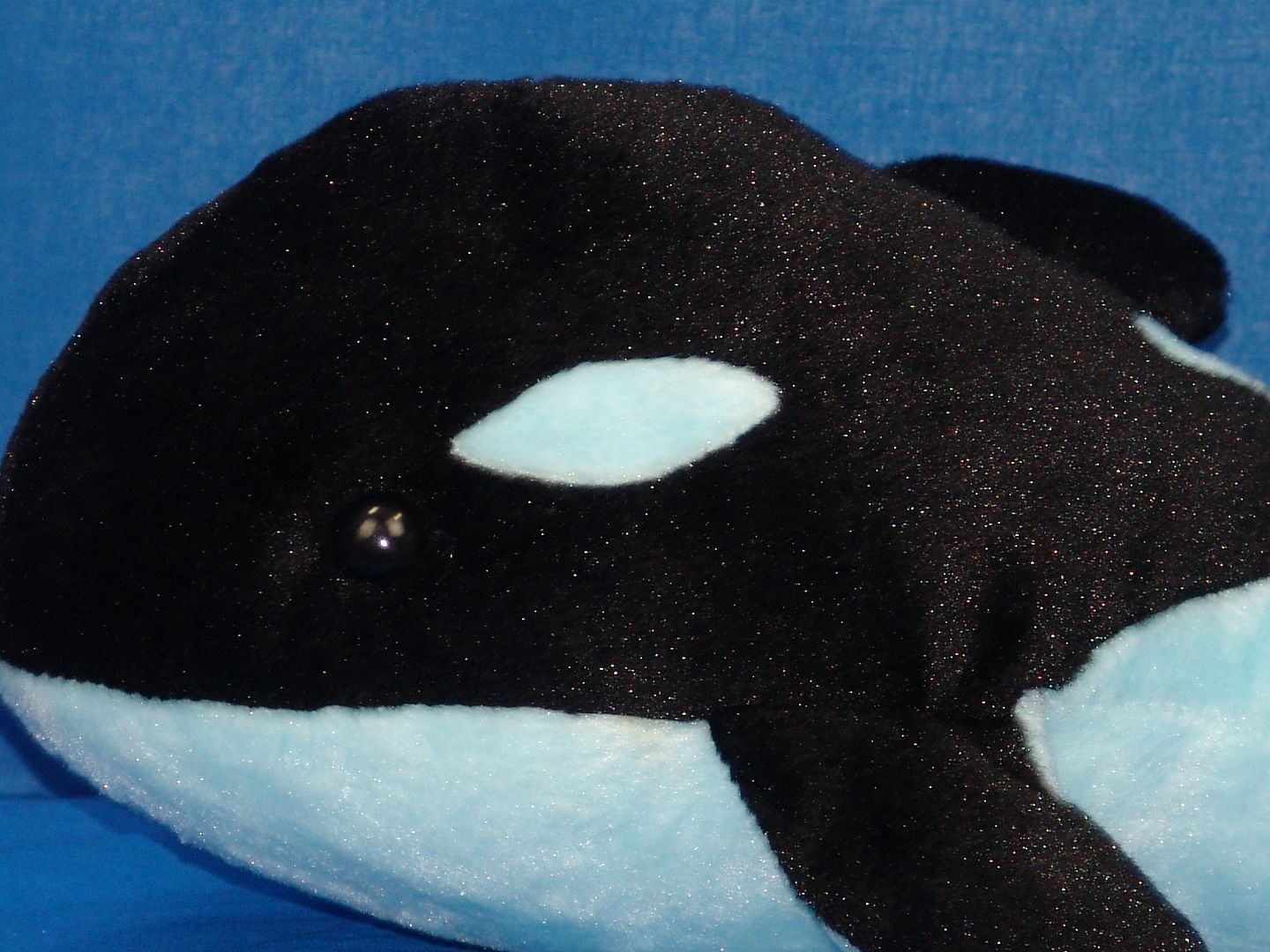 soft toy orca