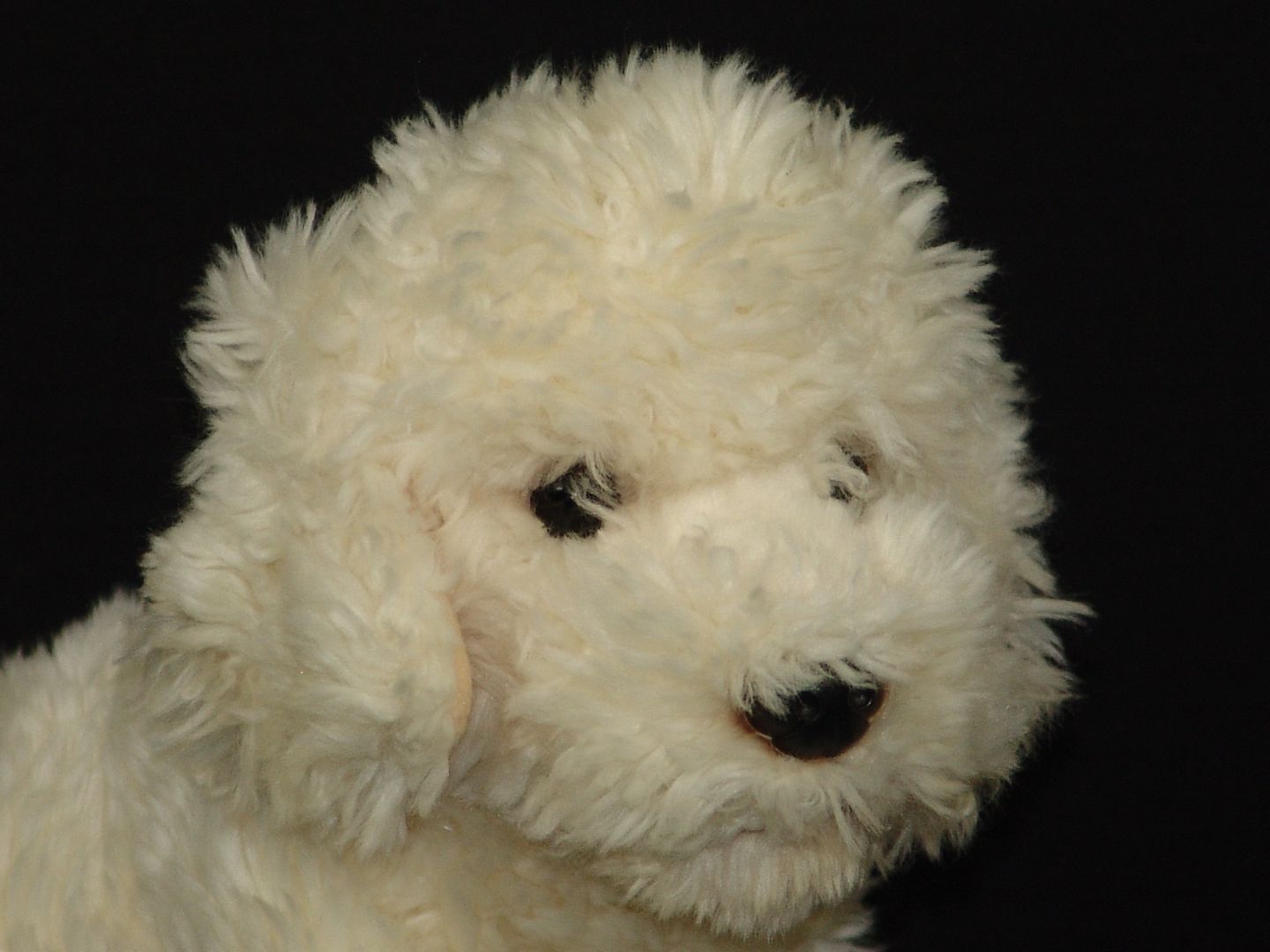 lifelike stuffed puppy