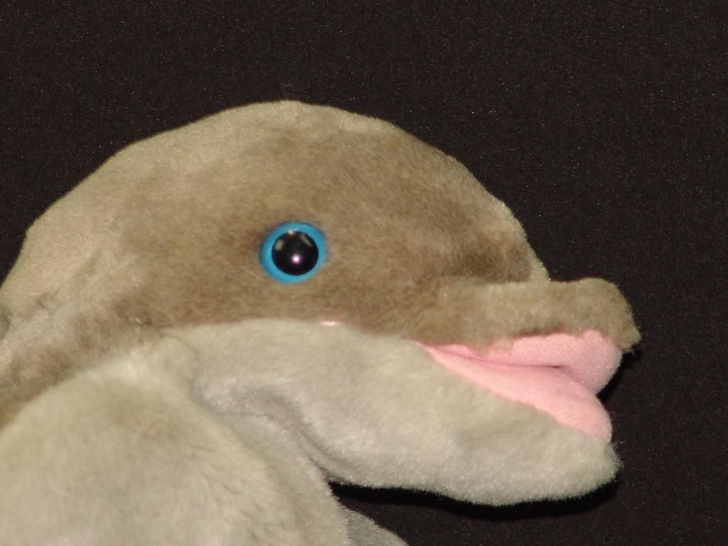 bottlenose dolphin stuffed animal