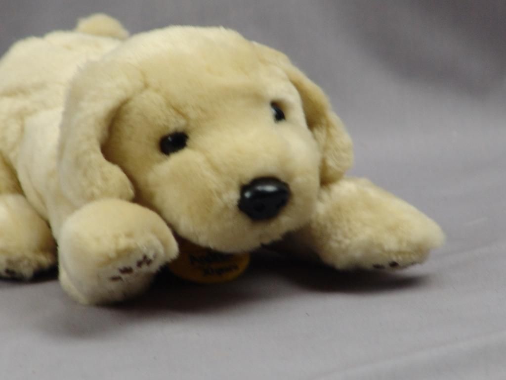 stuffed yellow dog