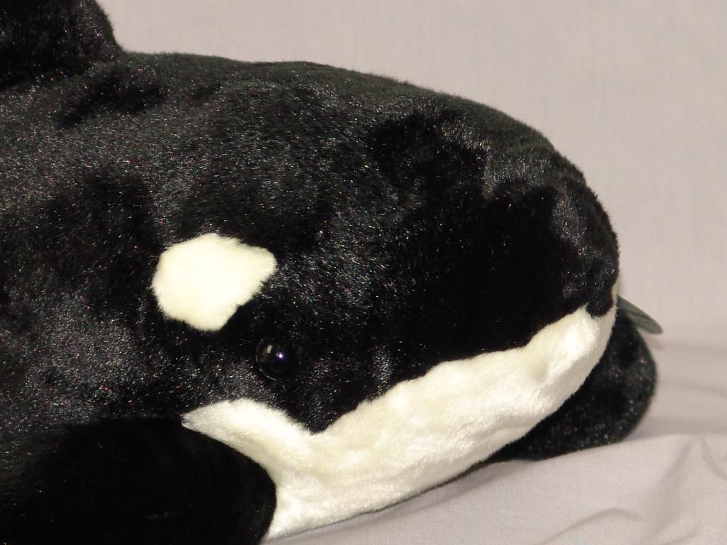 seaworld shamu plush