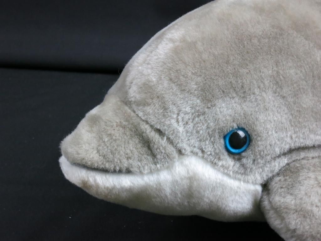 dolphin stuffed animal