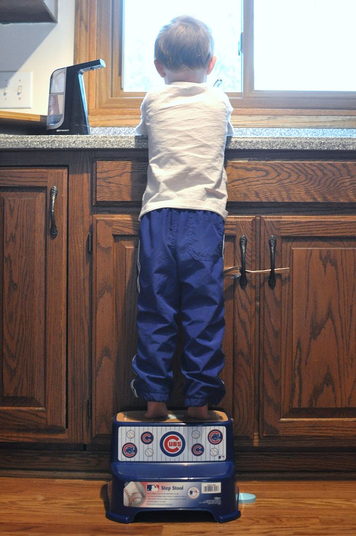 MLB step stool