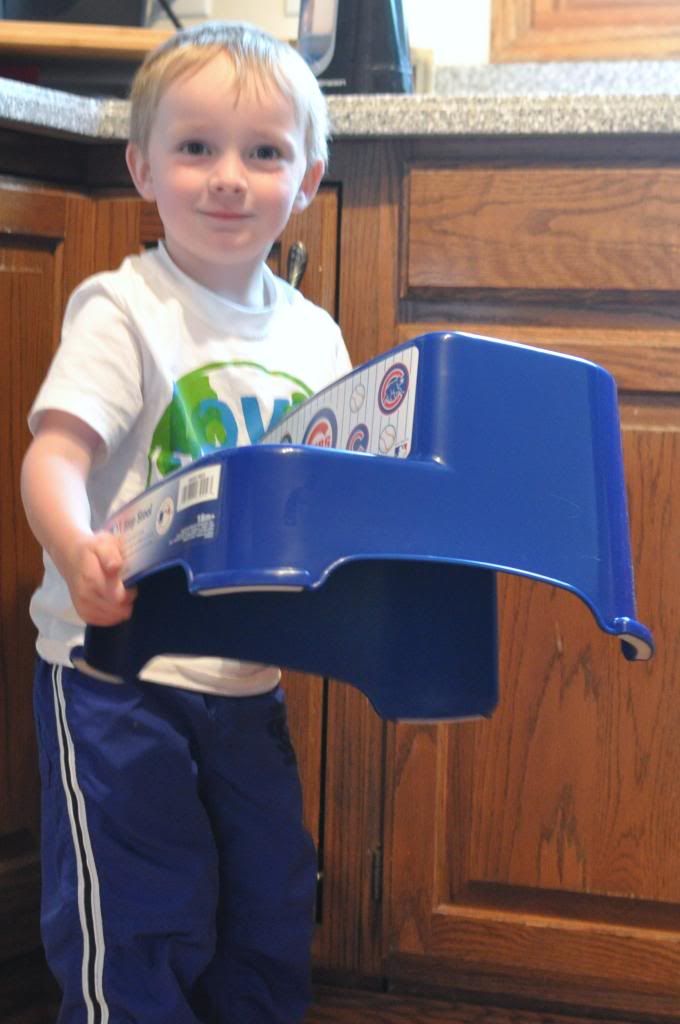 MLB step stool